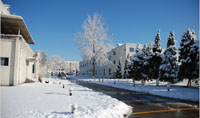 esb世博网自动门集团2013年办公楼雪景